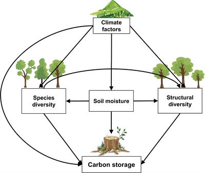 Comparison of plant diversity-carbon storage relationships along altitudinal gradients in temperate forests and shrublands